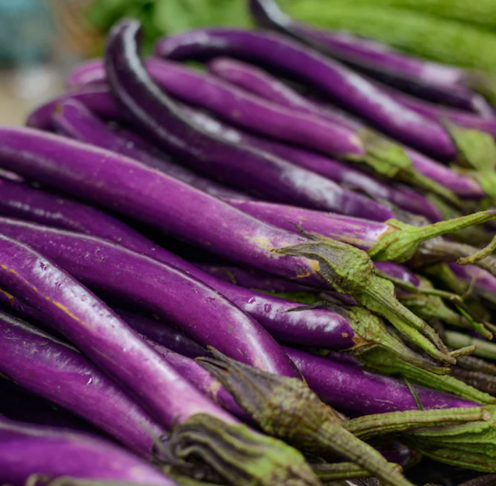 Fresh Brinjal - Eggplant
